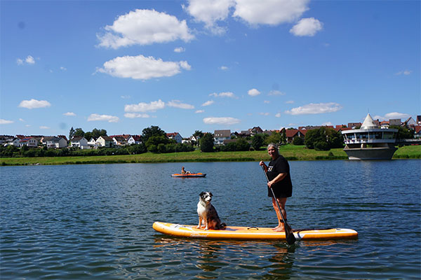Hund auf dem Standup-Paddle im See beim Reisemobilhafen